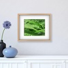 image:imageMikasa 13x16x15 Inch Wood Gallery Portrait Frame Displays one 12x14 Photo Without Mat or 8x10 Photo With Mat GoldChampagne