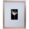 image:imageMikasa 13x16x15 Inch Wood Gallery Portrait Frame Displays one 12x14 Photo Without Mat or 8x10 Photo With Mat GoldChampagne