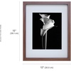 image:imageMikasa 13x16x15 Inch Wood Gallery Portrait Frame Displays one 12x14 Photo Without Mat or 8x10 Photo With Mat GoldWalnut
