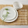 image:imageMikasa Patterson Vegan Bone China Chip Resistant 12 Piece Dinnerware Set Service for 4Mirabel