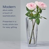 image:imageMikasa Baron Crystal Vase 1175 InchVase