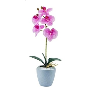 image:imageMikasa Artificial Real Touch Phalaenopsis Orchid Flower in Pot Faux Floral Dcor for Wedding Home Office Party Hotel Salon 15Inch White PinkFuchsia Stripe