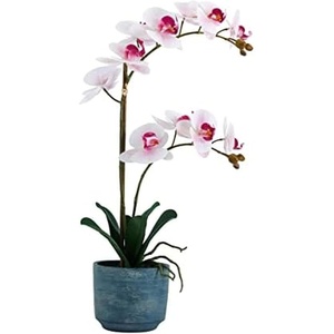 image:imageMikasa Artificial Real Touch Phalaenopsis Orchid Flower in Pot Faux Floral Dcor for Wedding Home Office Party Hotel Salon 15Inch White PinkPink