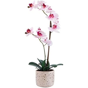 image:imageMikasa Artificial Real Touch Phalaenopsis Orchid Flower in Pot Faux Floral Dcor for Wedding Home Office Party Hotel Salon 15Inch White PinkPink Water Color