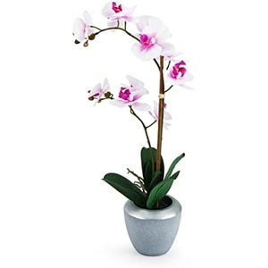 image:imageMikasa Artificial Real Touch Phalaenopsis Orchid Flower in Pot Faux Floral Dcor for Wedding Home Office Party Hotel Salon 15Inch White PinkPink White