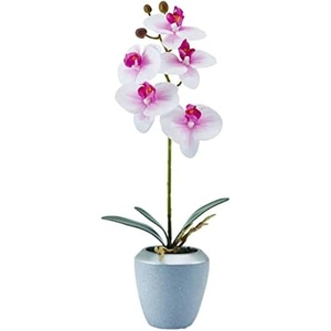 image:imageMikasa Artificial Real Touch Phalaenopsis Orchid Flower in Pot Faux Floral Dcor for Wedding Home Office Party Hotel Salon 15Inch White PinkWhite Pink