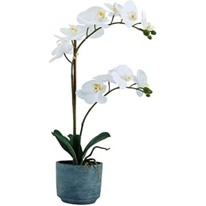 image:imageMikasa Artificial Real Touch Phalaenopsis Orchid Flower in Pot Faux Floral Dcor for Wedding Home Office Party Hotel Salon 15Inch White PinkWhite Yellow