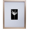 image:imageMikasa Silver Gallery Frame16 x 16 Matted to 5 x 7Champagne