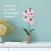 image:imageMikasa Artificial Orchid in Pot Real Touch Phalaenopsis Orchid Embossed Weave Cement Pot 16Inch Single Branch Watercolor PinkWatercolor Pink