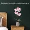image:imageMikasa Artificial Orchid in Pot Real Touch Phalaenopsis Orchid Embossed Weave Cement Pot 16Inch Single Branch Watercolor PinkWatercolor Pink