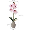 image:imageMikasa Artificial Orchid in Pot Real Touch Phalaenopsis Orchid Embossed Weave Cement Pot 16Inch Single Branch Watercolor PinkWatercolor Pink