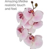 image:imageMikasa Artificial Orchid in Pot Real Touch Phalaenopsis Orchid Embossed Weave Cement Pot 16Inch Single Branch Watercolor PinkWatercolor Pink