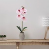 image:imageMikasa Artificial Orchid in Pot Real Touch Phalaenopsis Orchid Embossed Weave Cement Pot 16Inch Single Branch Watercolor PinkWatercolor Pink
