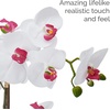 image:imageMikasa Artificial Orchid in Pot Real Touch Phalaenopsis Orchid Embossed Weave Cement Pot 16Inch Single Branch Watercolor PinkWhitePink