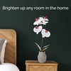 image:imageMikasa Artificial Orchid in Pot Real Touch Phalaenopsis Orchid Embossed Weave Cement Pot 16Inch Single Branch Watercolor PinkWhitePink