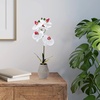 image:imageMikasa Artificial Orchid in Pot Real Touch Phalaenopsis Orchid Embossed Weave Cement Pot 16Inch Single Branch Watercolor PinkWhitePink