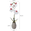 image:imageMikasa Artificial Orchid in Pot Real Touch Phalaenopsis Orchid Embossed Weave Cement Pot 16Inch Single Branch Watercolor PinkWhitePink