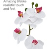 image:imageMikasa Artificial Orchid in Pot Real Touch Phalaenopsis Orchid Embossed Weave Cement Pot 16Inch Single Branch Watercolor PinkWhitePink