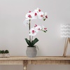 image:imageMikasa Artificial Orchid in Pot Real Touch Phalaenopsis Orchid Embossed Weave Cement Pot 16Inch Single Branch Watercolor PinkWhitePink