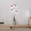 image:imageMikasa Artificial Orchid in Pot Real Touch Phalaenopsis Orchid Embossed Weave Cement Pot 16Inch Single Branch Watercolor PinkWhitePink
