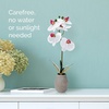 image:imageMikasa Artificial Orchid in Pot Real Touch Phalaenopsis Orchid Embossed Weave Cement Pot 16Inch Single Branch Watercolor PinkWhitePink