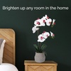 image:imageMikasa Artificial Orchid in Pot Real Touch Phalaenopsis Orchid Embossed Weave Cement Pot 16Inch Single Branch Watercolor PinkWhitePink