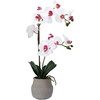 image:imageMikasa Artificial Orchid in Pot Real Touch Phalaenopsis Orchid Embossed Weave Cement Pot 16Inch Single Branch Watercolor PinkWhitePink
