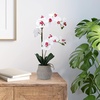 image:imageMikasa Artificial Orchid in Pot Real Touch Phalaenopsis Orchid Embossed Weave Cement Pot 16Inch Single Branch Watercolor PinkWhitePink