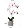 image:imageMikasa Artificial Orchid in Pot Real Touch Phalaenopsis Orchid Embossed Weave Cement Pot 16Inch Single Branch Watercolor PinkWhitePink