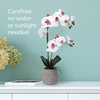 image:imageMikasa Artificial Orchid in Pot Real Touch Phalaenopsis Orchid Embossed Weave Cement Pot 16Inch Single Branch Watercolor PinkWhitePink