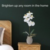 image:imageMikasa Artificial Orchid in Pot Real Touch Phalaenopsis Orchid Embossed Weave Cement Pot 16Inch Single Branch Watercolor PinkWhiteYellow