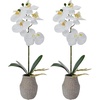image:imageMikasa Artificial Orchid in Pot Real Touch Phalaenopsis Orchid Embossed Weave Cement Pot 16Inch Single Branch Watercolor PinkWhiteYellow