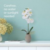 image:imageMikasa Artificial Orchid in Pot Real Touch Phalaenopsis Orchid Embossed Weave Cement Pot 16Inch Single Branch Watercolor PinkWhiteYellow