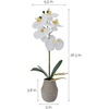 image:imageMikasa Artificial Orchid in Pot Real Touch Phalaenopsis Orchid Embossed Weave Cement Pot 16Inch Single Branch Watercolor PinkWhiteYellow