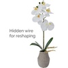 image:imageMikasa Artificial Orchid in Pot Real Touch Phalaenopsis Orchid Embossed Weave Cement Pot 16Inch Single Branch Watercolor PinkWhiteYellow