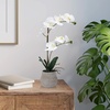 image:imageMikasa Artificial Orchid in Pot Real Touch Phalaenopsis Orchid Embossed Weave Cement Pot 16Inch Single Branch Watercolor PinkWhiteYelow
