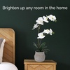 image:imageMikasa Artificial Orchid in Pot Real Touch Phalaenopsis Orchid Embossed Weave Cement Pot 16Inch Single Branch Watercolor PinkWhiteYelow