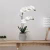 image:imageMikasa Artificial Orchid in Pot Real Touch Phalaenopsis Orchid Embossed Weave Cement Pot 16Inch Single Branch Watercolor PinkWhiteYelow