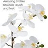 image:imageMikasa Artificial Orchid in Pot Real Touch Phalaenopsis Orchid Embossed Weave Cement Pot 16Inch Single Branch Watercolor PinkWhiteYelow