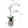 image:imageMikasa Artificial Orchid in Pot Real Touch Phalaenopsis Orchid Embossed Weave Cement Pot 16Inch Single Branch Watercolor PinkWhiteYelow