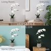 image:imageMikasa Artificial Orchid in Pot Real Touch Phalaenopsis Orchid Embossed Weave Cement Pot 16Inch Single Branch Watercolor PinkWhiteYelow