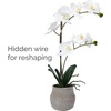 image:imageMikasa Artificial Orchid in Pot Real Touch Phalaenopsis Orchid Embossed Weave Cement Pot 16Inch Single Branch Watercolor PinkWhiteYelow