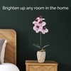image:imageMikasa Artificial Orchid in Pot Real Touch Phalaenopsis Orchid Faux Aged Cement Pot 22Inch Double Branch WhitePinkPink Spot