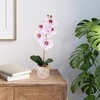 image:imageMikasa Artificial Orchid in Pot Real Touch Phalaenopsis Orchid Faux Aged Cement Pot 22Inch Double Branch WhitePinkPink Spot
