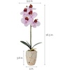 image:imageMikasa Artificial Orchid in Pot Real Touch Phalaenopsis Orchid Faux Aged Cement Pot 22Inch Double Branch WhitePinkPink Spot