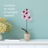 image:imageMikasa Artificial Orchid in Pot Real Touch Phalaenopsis Orchid Faux Aged Cement Pot 22Inch Double Branch WhitePinkPink Spot