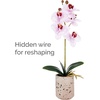 image:imageMikasa Artificial Orchid in Pot Real Touch Phalaenopsis Orchid Faux Aged Cement Pot 22Inch Double Branch WhitePinkPink Spot