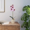 image:imageMikasa Artificial Orchid in Pot Real Touch Phalaenopsis Orchid Faux Aged Cement Pot 22Inch Double Branch WhitePinkPink Spot