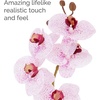 image:imageMikasa Artificial Orchid in Pot Real Touch Phalaenopsis Orchid Faux Aged Cement Pot 22Inch Double Branch WhitePinkPink Spot