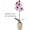 image:imageMikasa Artificial Orchid in Pot Real Touch Phalaenopsis Orchid Faux Aged Cement Pot 22Inch Double Branch WhitePinkPink Spot